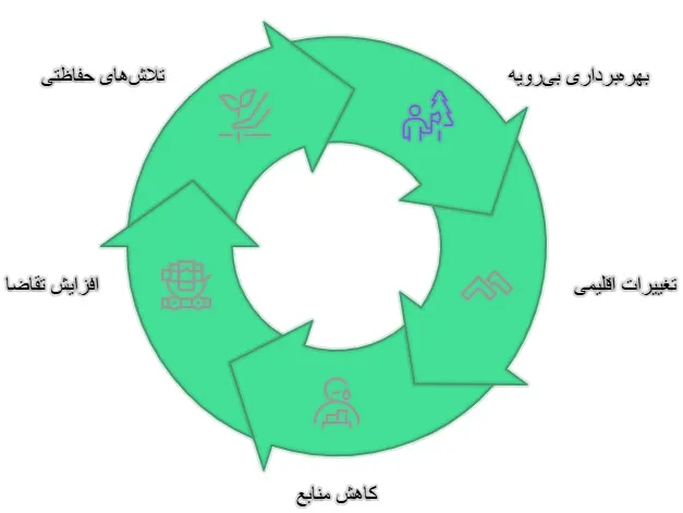 ماهوت دو چوب آسیایی
