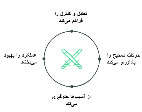 چوب بازی دوتیکه فالکن